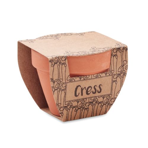 Terracotta pot Cress - Image 4